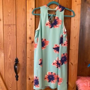 Pink Lily flowery dress NWOT